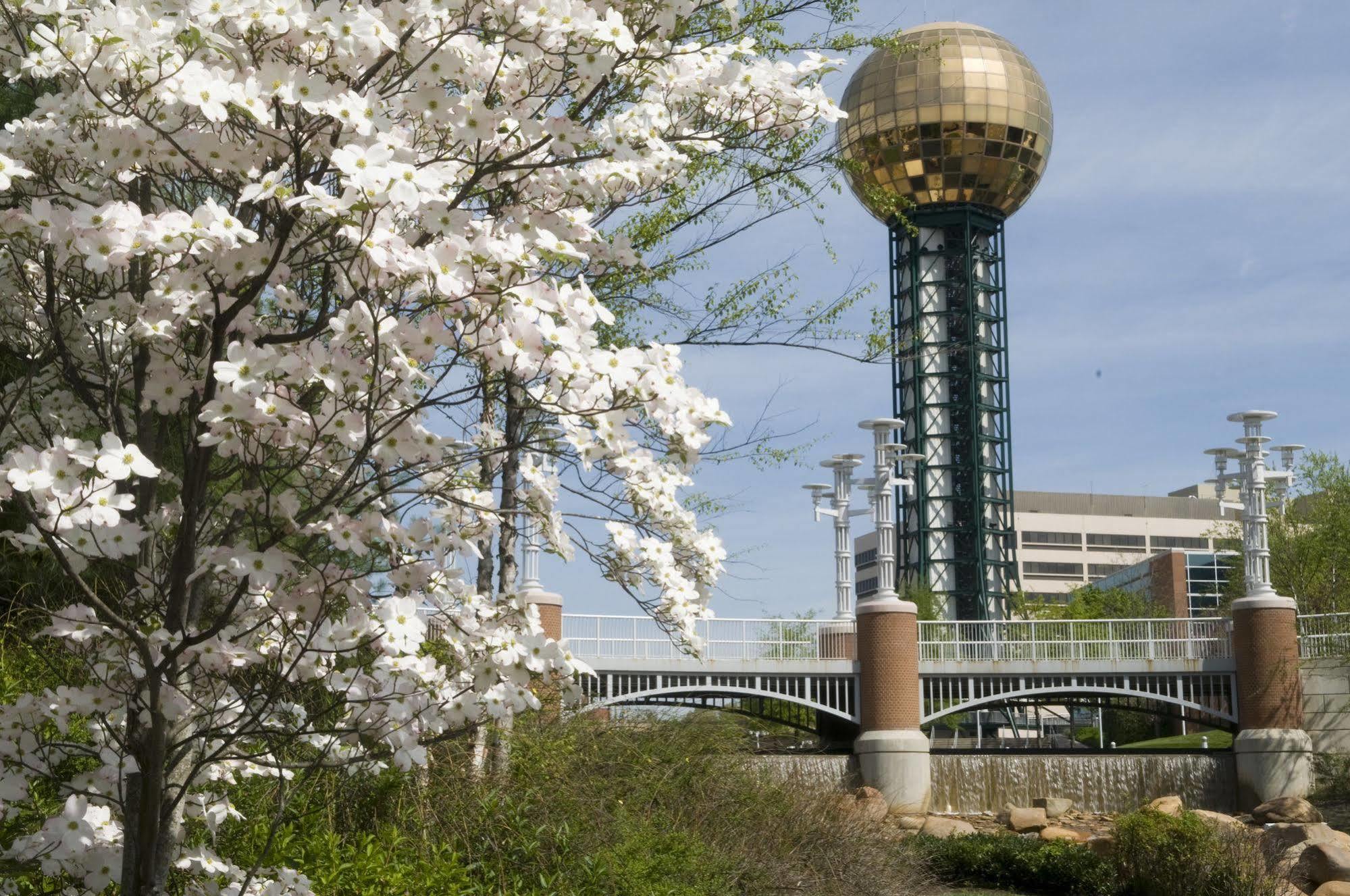 The Tennessean Personal Luxury Hotel Knoxville Exterior photo